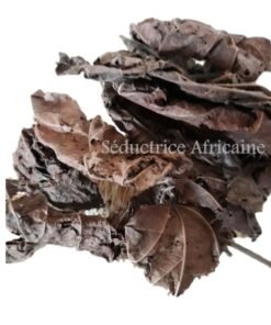 Feuilles séchées de DJEKA