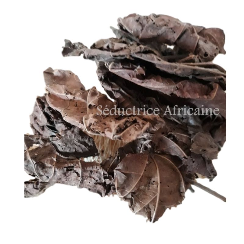 Djéka - feuilles séchées en vrac - 100g - Produit Livré