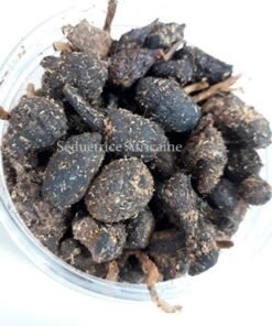 Encens / Tchouraye gowé SAF parfumé